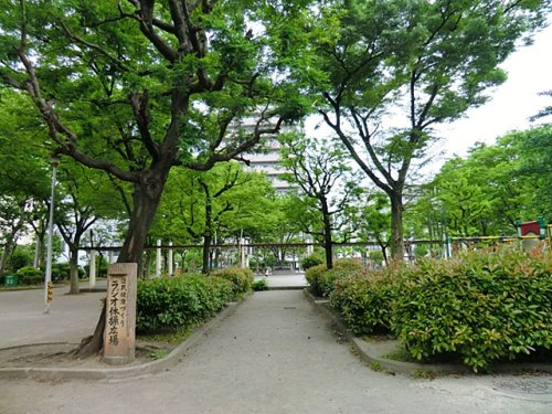【公園】若宮公園まで520ｍ