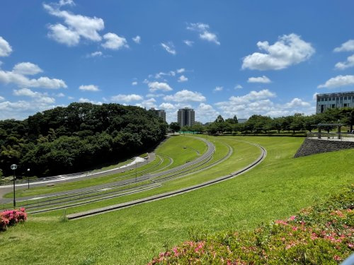 【公園】若葉台公園まで550ｍ