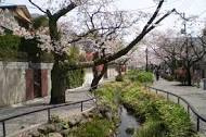 【公園】北沢川緑道まで862ｍ