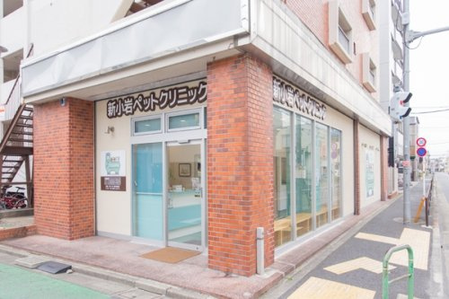 【動物病院】新小岩ペットクリニックまで861ｍ