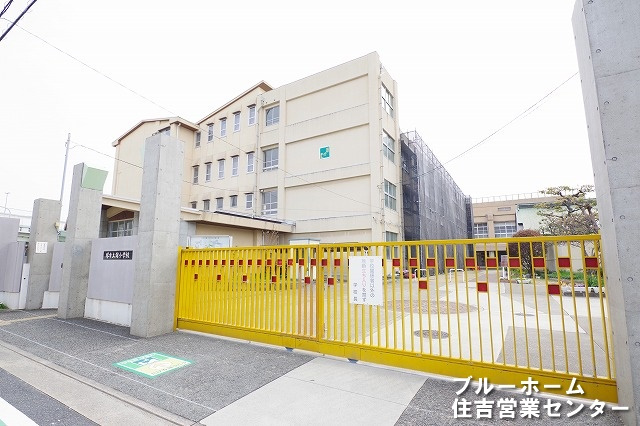【小学校】堺市立錦小学校まで550ｍ