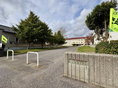【小学校】苫小牧市立大成小学校まで486ｍ