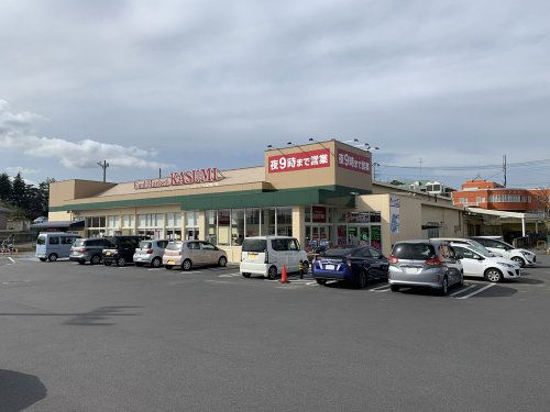 【スーパー】カスミ高津店まで573ｍ