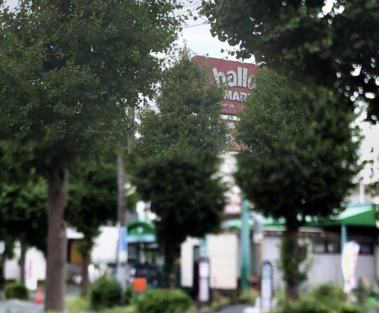 【スーパー】hallo!MART(ハローマート)　馬橋店まで403ｍ