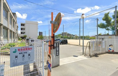【小学校】姫路市立城西小学校まで792ｍ