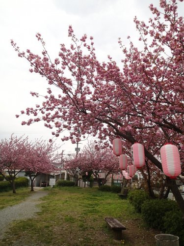 【公園】平木谷公園まで1084ｍ