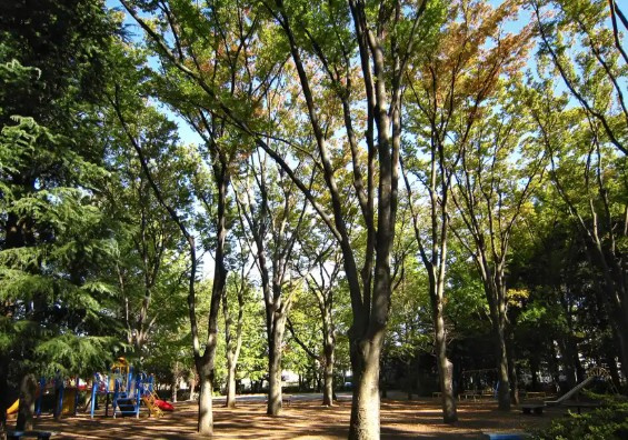 【公園】赤塚新町公園まで217ｍ