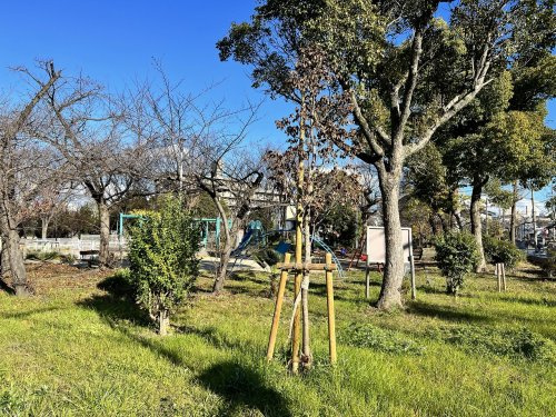 【公園】北加賀屋公園まで695ｍ
