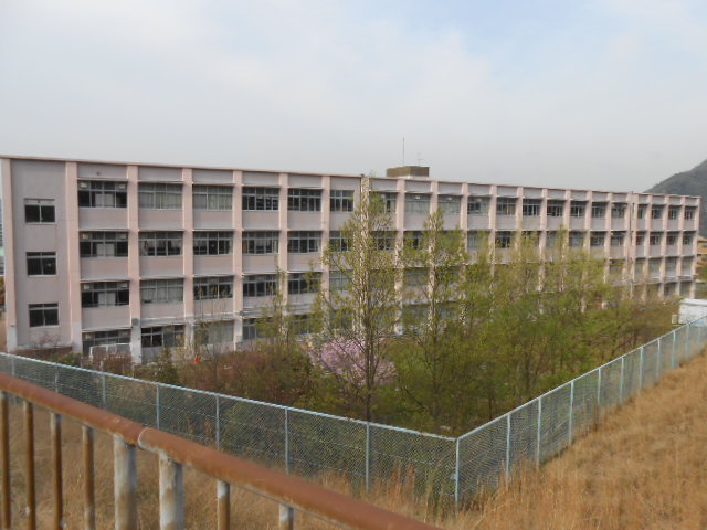 【小学校】横尾小学校まで541ｍ