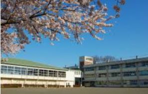 【小学校】栃木市立藤岡小学校まで1243ｍ