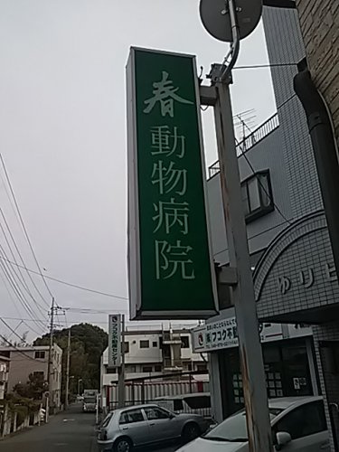 【動物病院】春動物病院まで1182ｍ