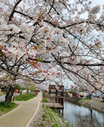 【公園】青柳公園まで1100ｍ