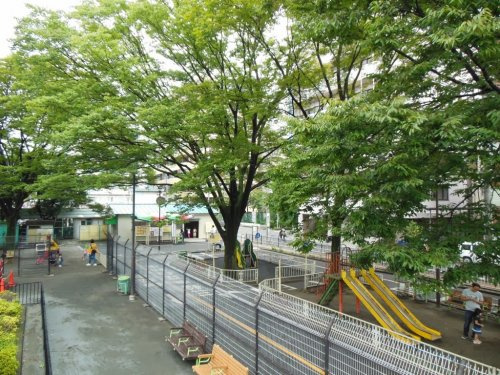 【公園】入新井西公園まで336ｍ