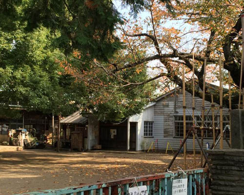 【幼稚園】平塚幼稚園まで677ｍ