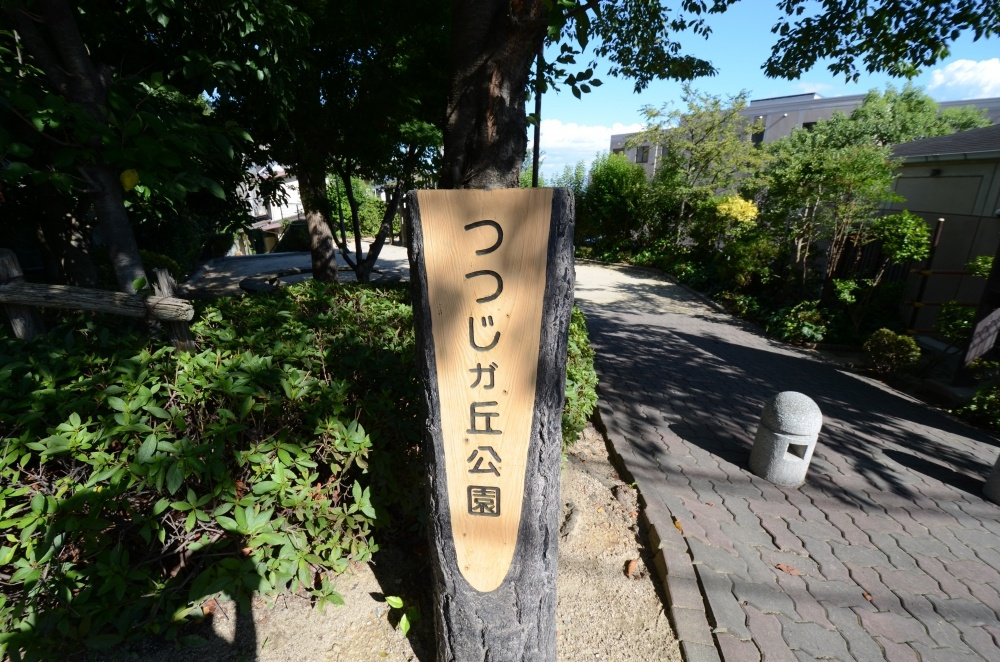 【公園】つつじヶ丘公園まで207ｍ