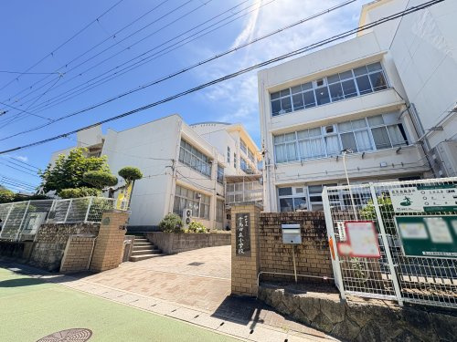 【小学校】神戸市立千鳥が丘小学校まで270ｍ