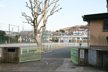 【小学校】大楠小学校まで183ｍ