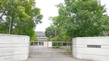【小学校】藤沢市立辻堂小学校まで757ｍ