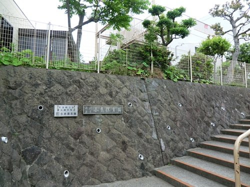 【保育園】藤沢市役所小糸保育園まで458ｍ