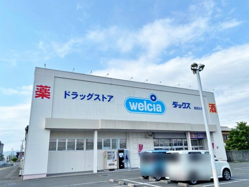 【ドラッグストア】ダックス亀岡大井店まで866ｍ