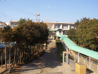 【中学校】三浦市立初声中学校まで1714ｍ