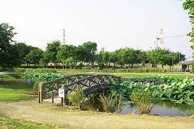 【公園】深谷　中宿公園まで424ｍ