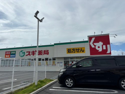 【ドラッグストア】スギドラッグ　本庄東台店まで711ｍ