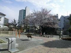 【公園】野沢二丁目公園まで866ｍ