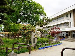 【小学校】目黒区立東根小学校まで432ｍ