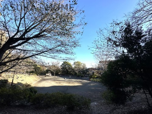 【公園】日吉本町鯛ヶ崎公園まで844ｍ
