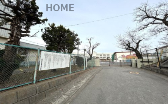 【小学校】横浜市立白根小学校まで1593ｍ