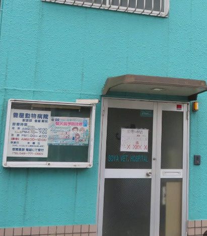 【動物病院】曽屋動物病院まで1273ｍ