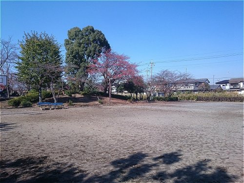 【公園】新田前公園まで1100ｍ