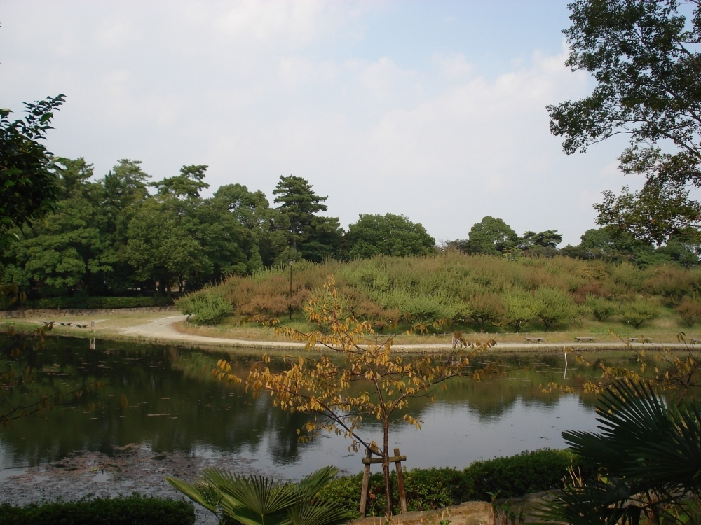 【公園】緑ケ丘公園まで838ｍ