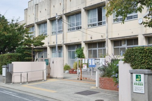 【小学校】堺市立浜寺昭和小学校まで310ｍ