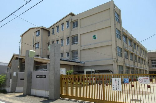 【小学校】堺市立錦小学校まで330ｍ