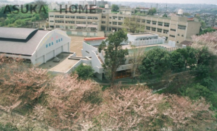 【小学校】横浜市立岡村小学校まで214ｍ