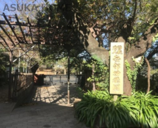 【幼稚園】安部幼稚園まで1039ｍ