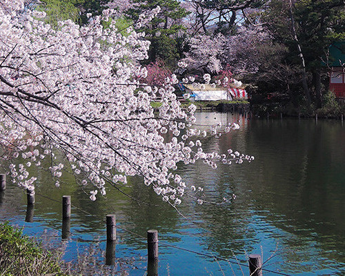 【公園】洗足池公園まで199ｍ