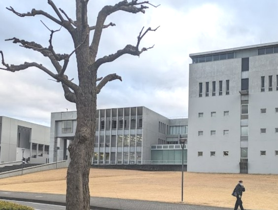 【中学校】私立慶應義塾湘南藤沢中等部まで2461ｍ