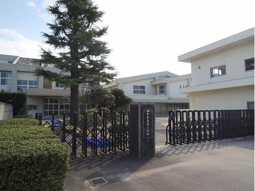 【幼稚園】高松市立国分寺南部幼稚園まで683ｍ