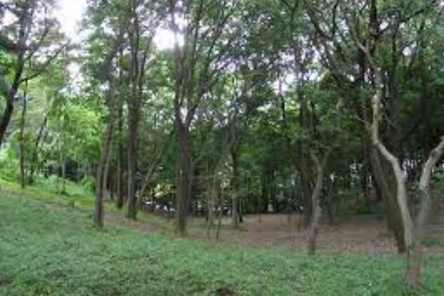 【公園】根戸船戸緑地まで455ｍ