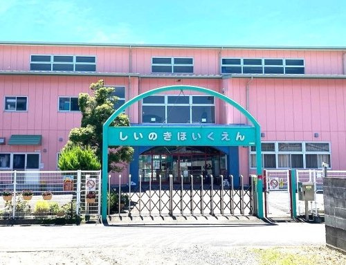 【保育園】しいの木保育園まで1163ｍ