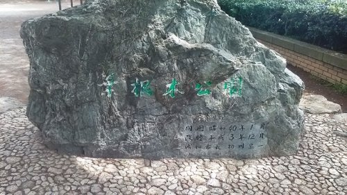 【公園】葉根木公園まで636ｍ
