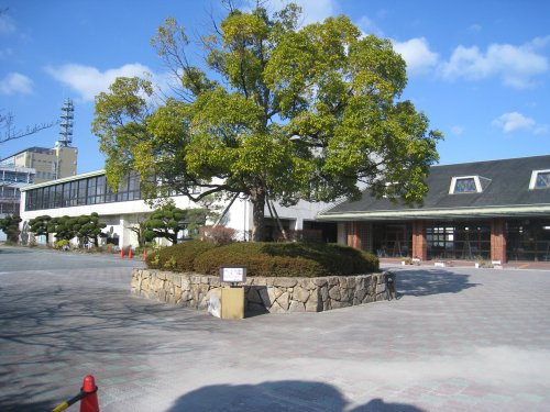 【小学校】市立桃園小学校まで796ｍ