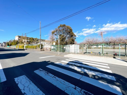 【小学校】三島市立西小学校まで243ｍ