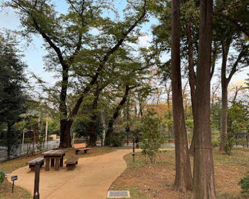 【公園】深沢こもれび緑地まで501ｍ