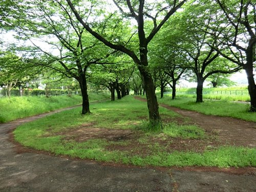 【公園】台田運動公園まで990ｍ