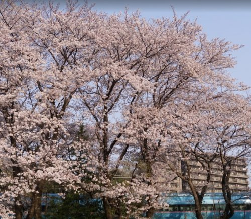 【公園】明王第2公園まで439ｍ