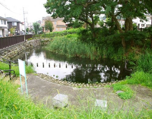 【公園】横川弁天池公園まで36ｍ